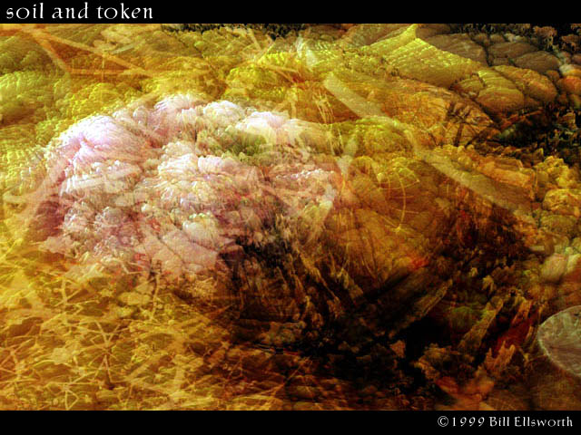 soilandtoken
